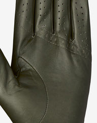 Premier 2.0 Golf Glove Accessories|Golf/Dark Olive