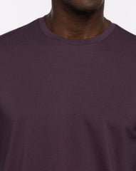 The Crew Long Sleeve Tee Men/Mauve Wine/Blue Nights