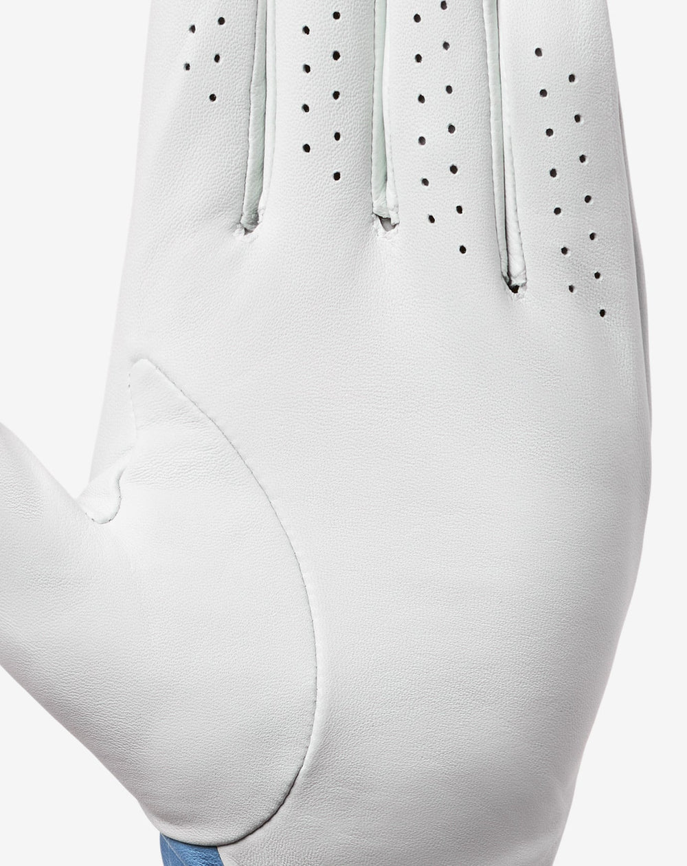 Premier Mapes Golf Glove Accessories|Golf/White/Pacific Coast