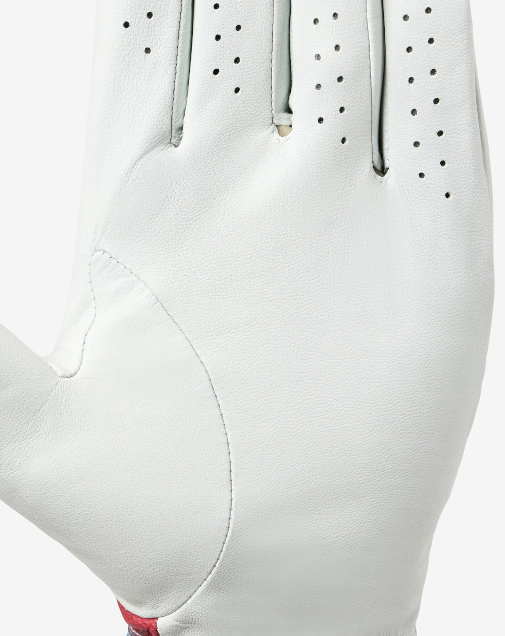 Freedom Feast Golf Glove Accessories|Golf/White