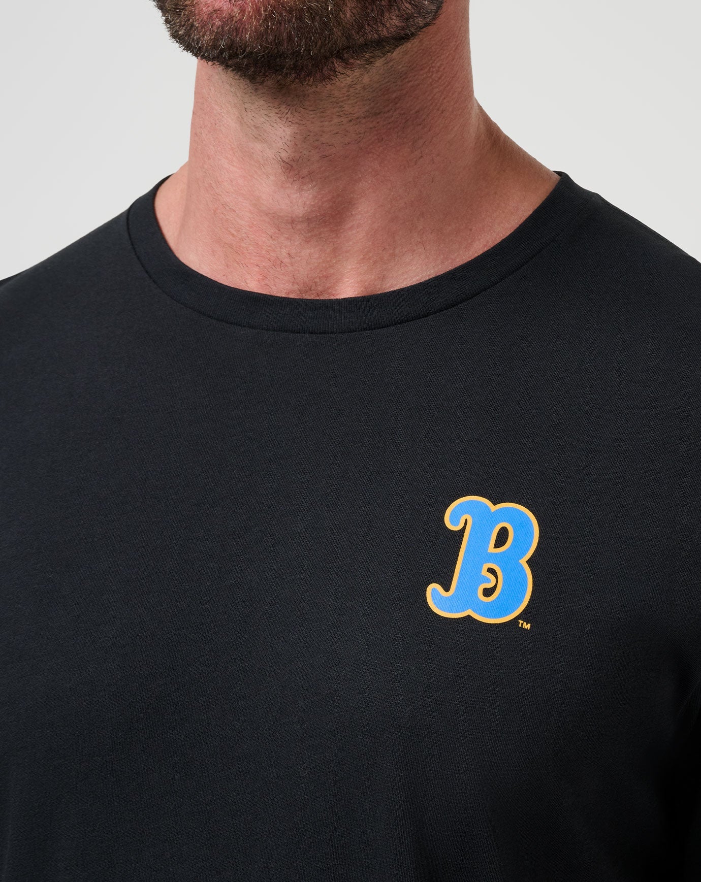 UCLA Friendly Rivalry Tee Game Day|New/Black